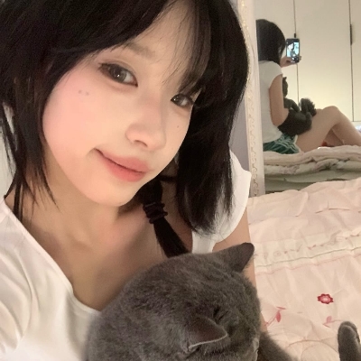 模型